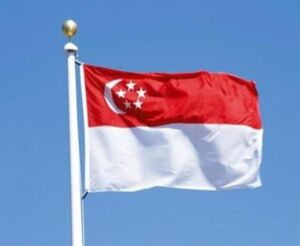 علم سنغافورة- الدول التي يمكن الهجرة إليها