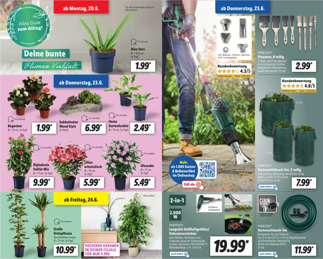 عروض متجر ليدل في ألمانيا على النباتات ومواد البناء