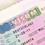 شروط وخطوات التقديم على فيزا تعديل الشهادات الطبية في المانيا