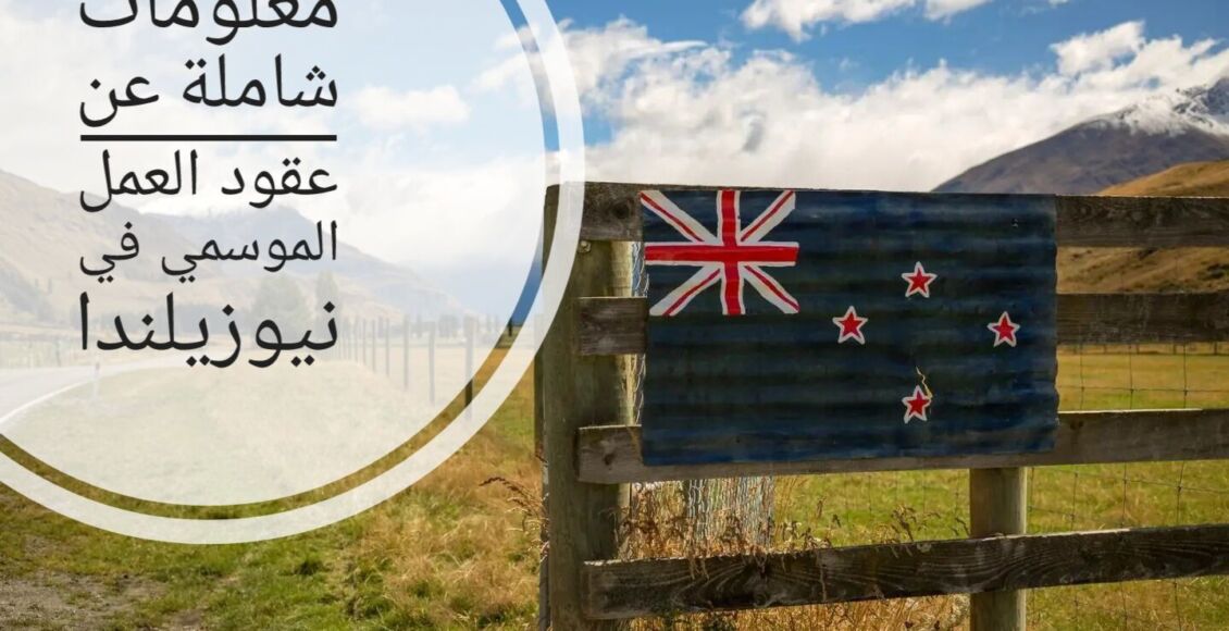 معلومات شاملة عن عقود العمل الموسمي في نيوزيلندا