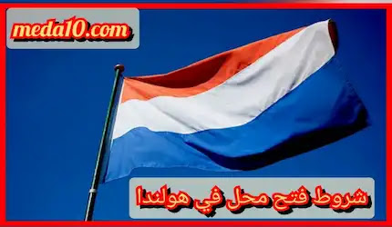 تعبيرية- علم هولندا وشروط فتح محل في هولندا