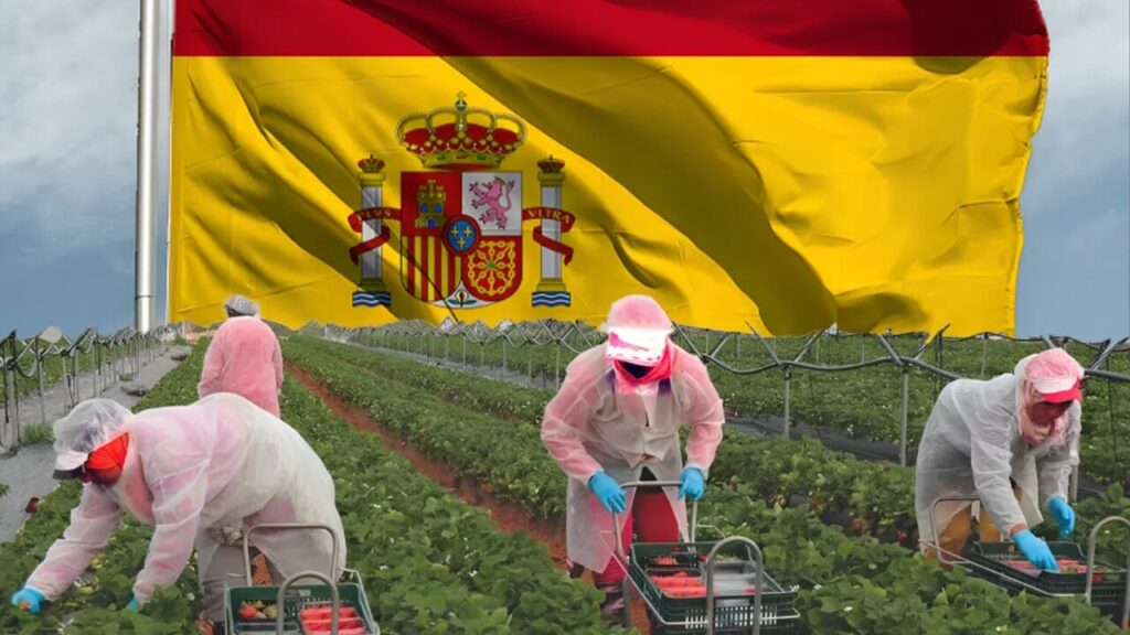 مجموعة من العمال في مجال الزراعة  بعقود موسمية في إسبانيا